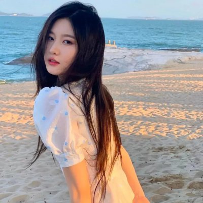 狗狗间谍
