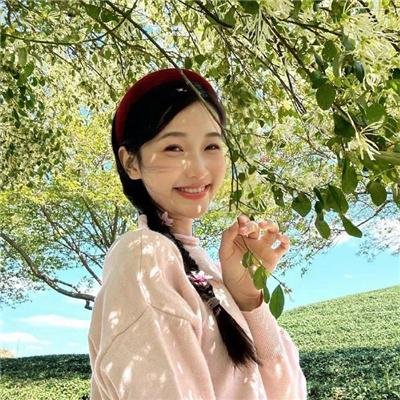 樱子小姐的脚下埋着尸体